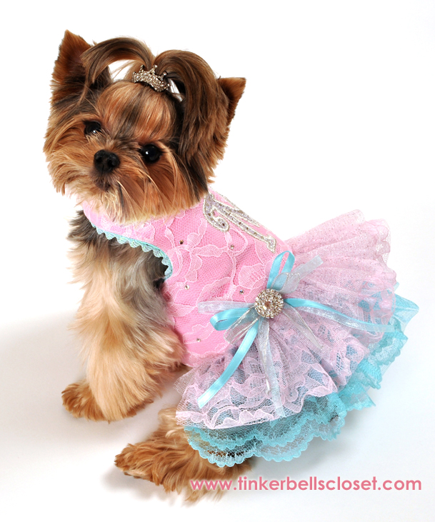 upscale dog clothes